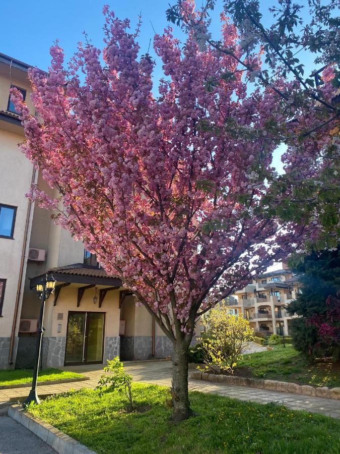 59 Kaliakria Seaview Luxury Apartment Topola Luaran gambar