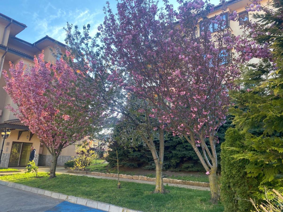 59 Kaliakria Seaview Luxury Apartment Topola Luaran gambar